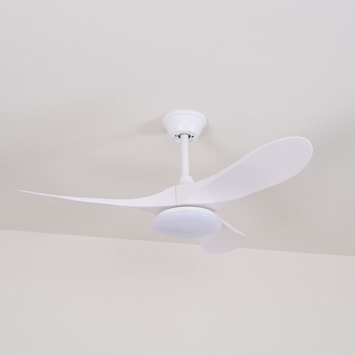 Miriveon Drift Ceiling Fan Light