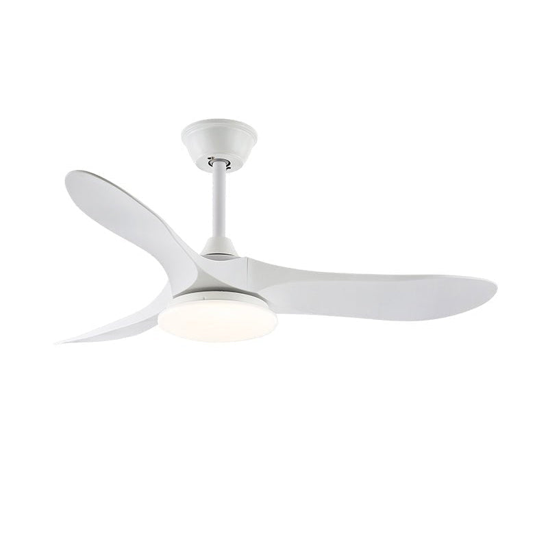 Liorueria Ceiling Fan Light
