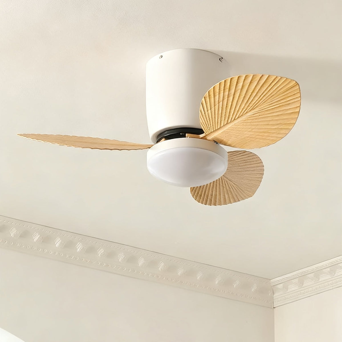 Calirella Ceiling Fan Light