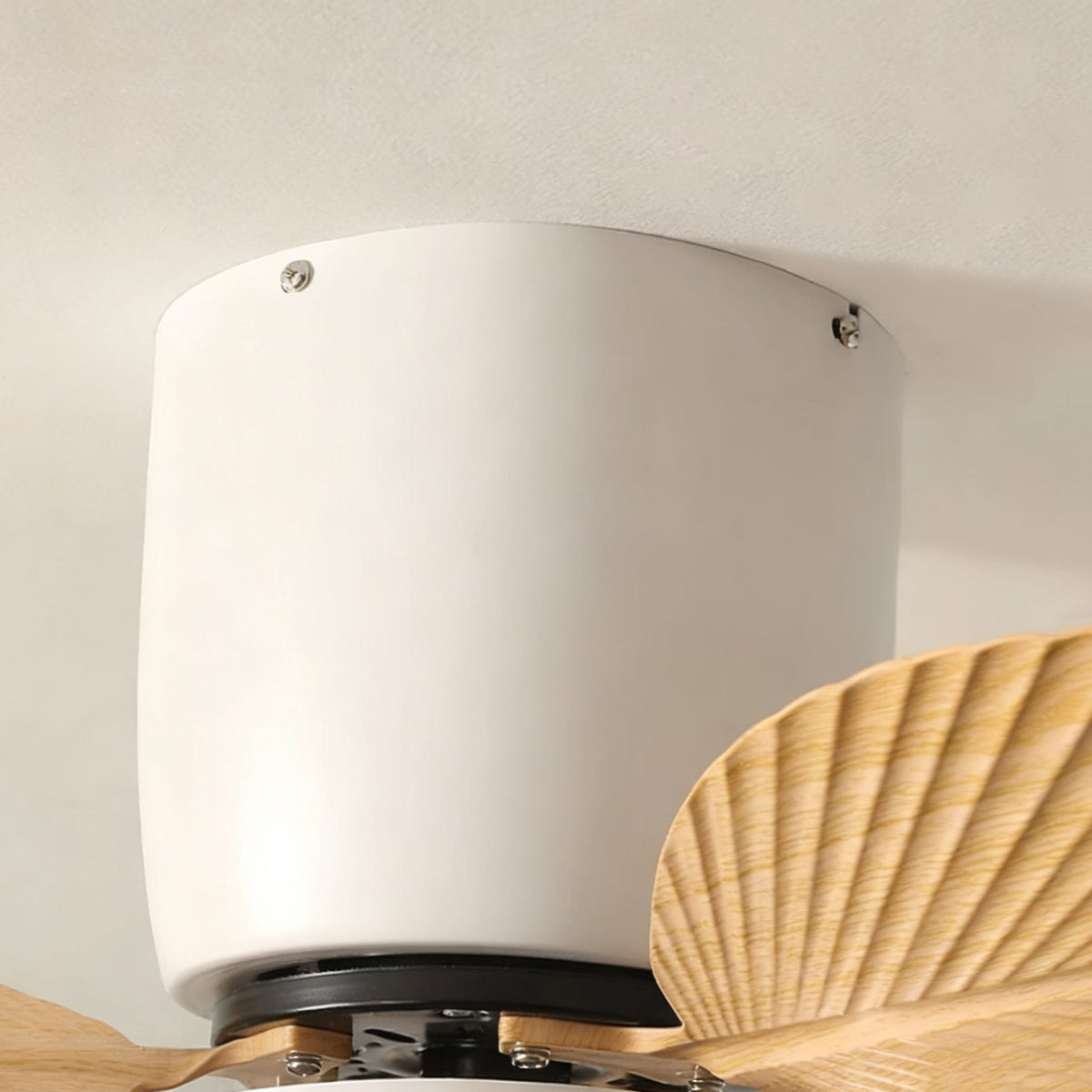 Calirella Ceiling Fan Light