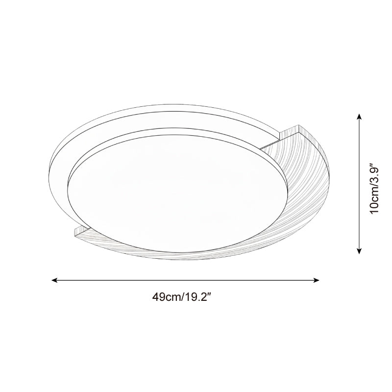 Virainel Flush Mount Ceiling Light