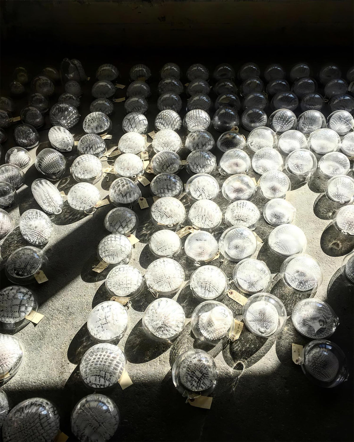 Pearlina Chandelier