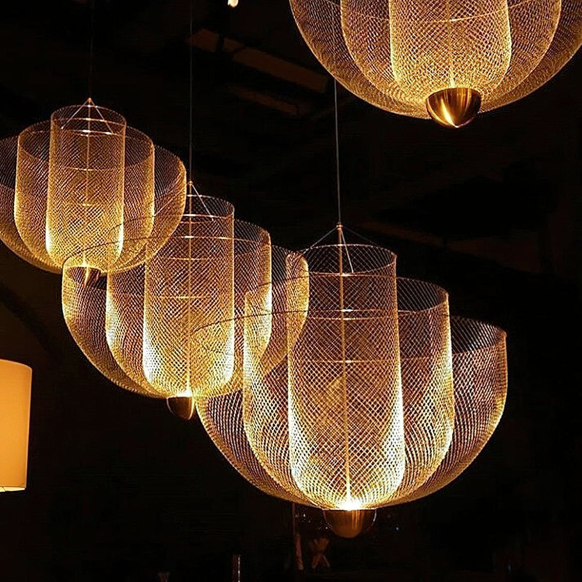 Renorine Art Chandelier