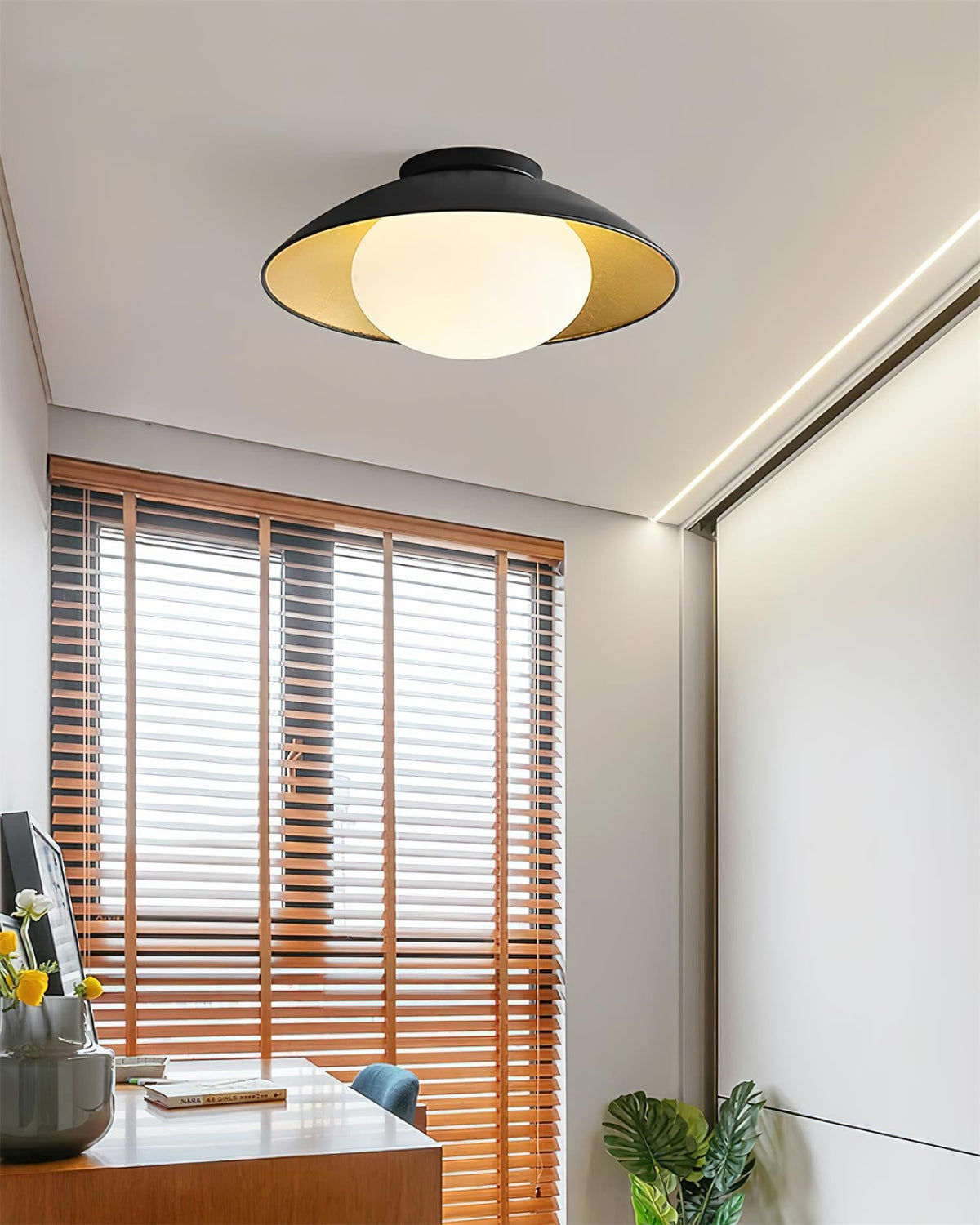 Reneaine Ceiling Light