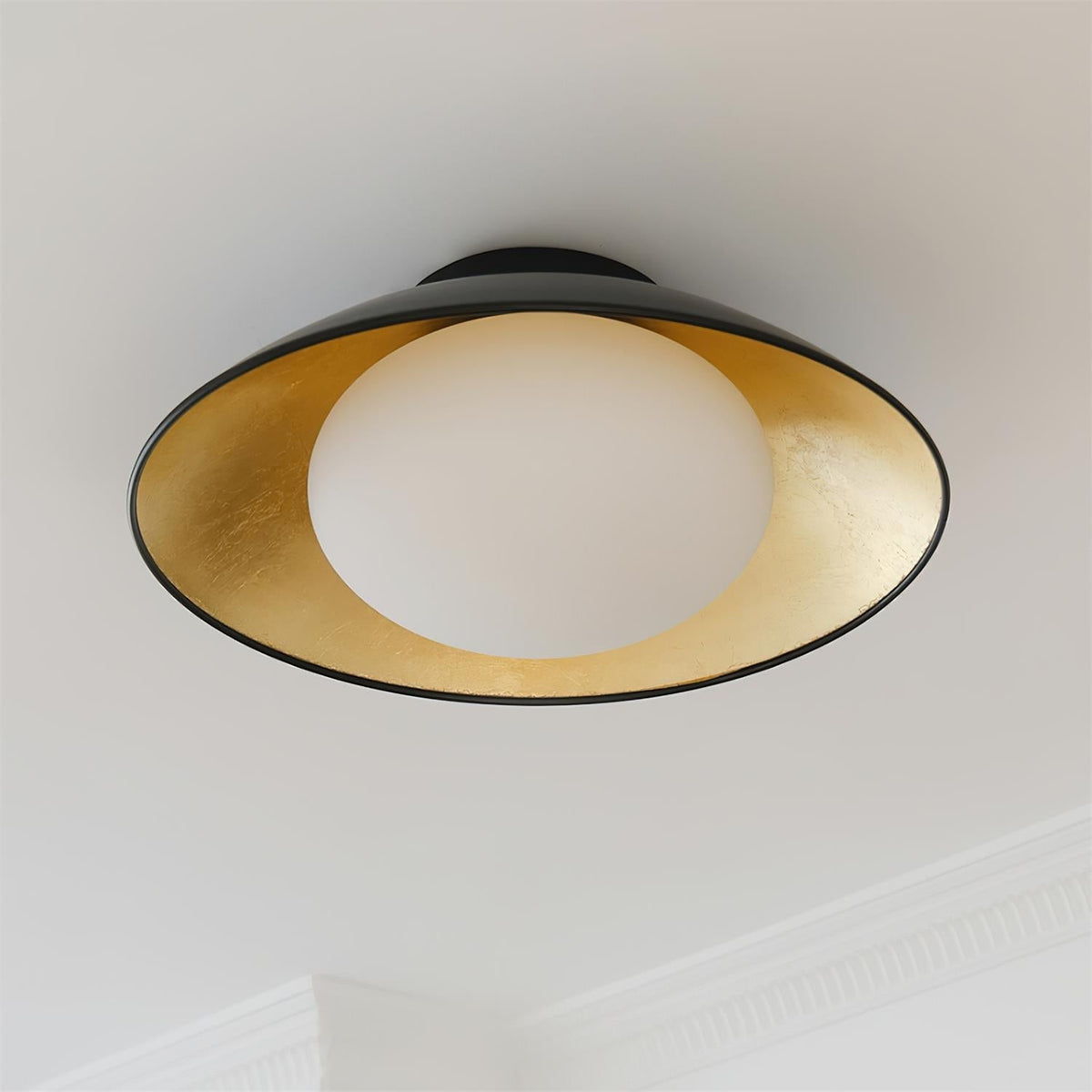 Reneaine Ceiling Light