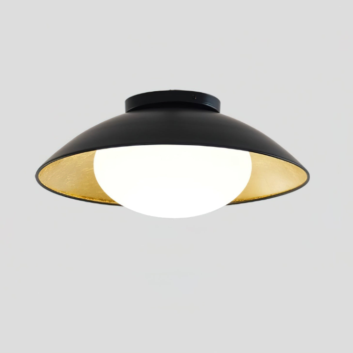 Reneaine Ceiling Light