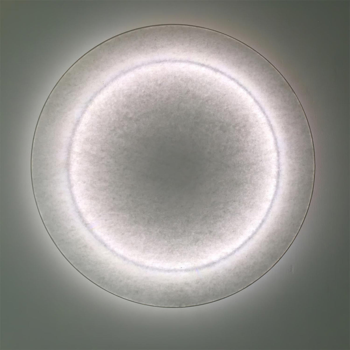Viraiella Wall Light