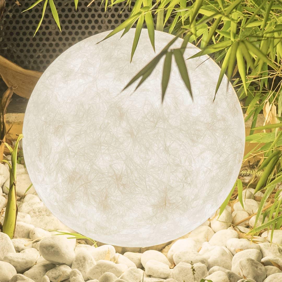 Calalina Outdoor Light