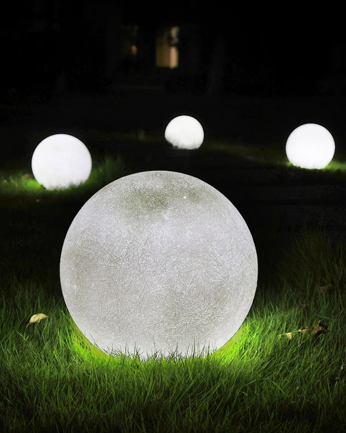 Calalina Outdoor Light
