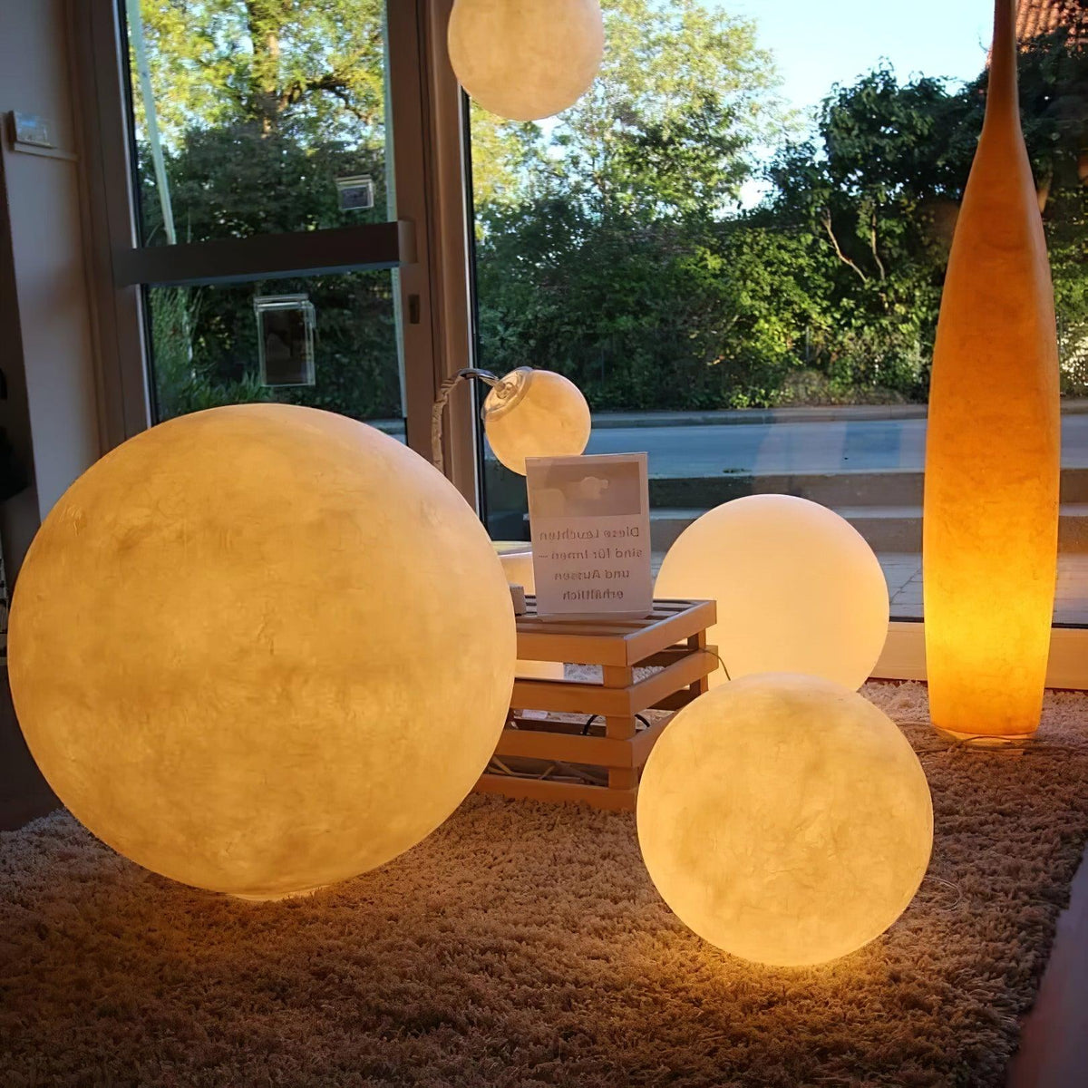 Calalina Outdoor Light