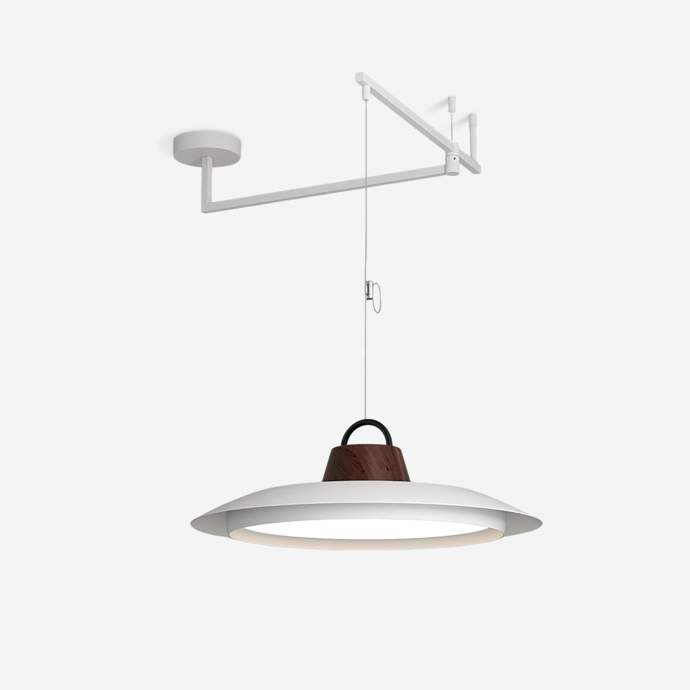 Elaisenne Swing Arm Pendant Lamp