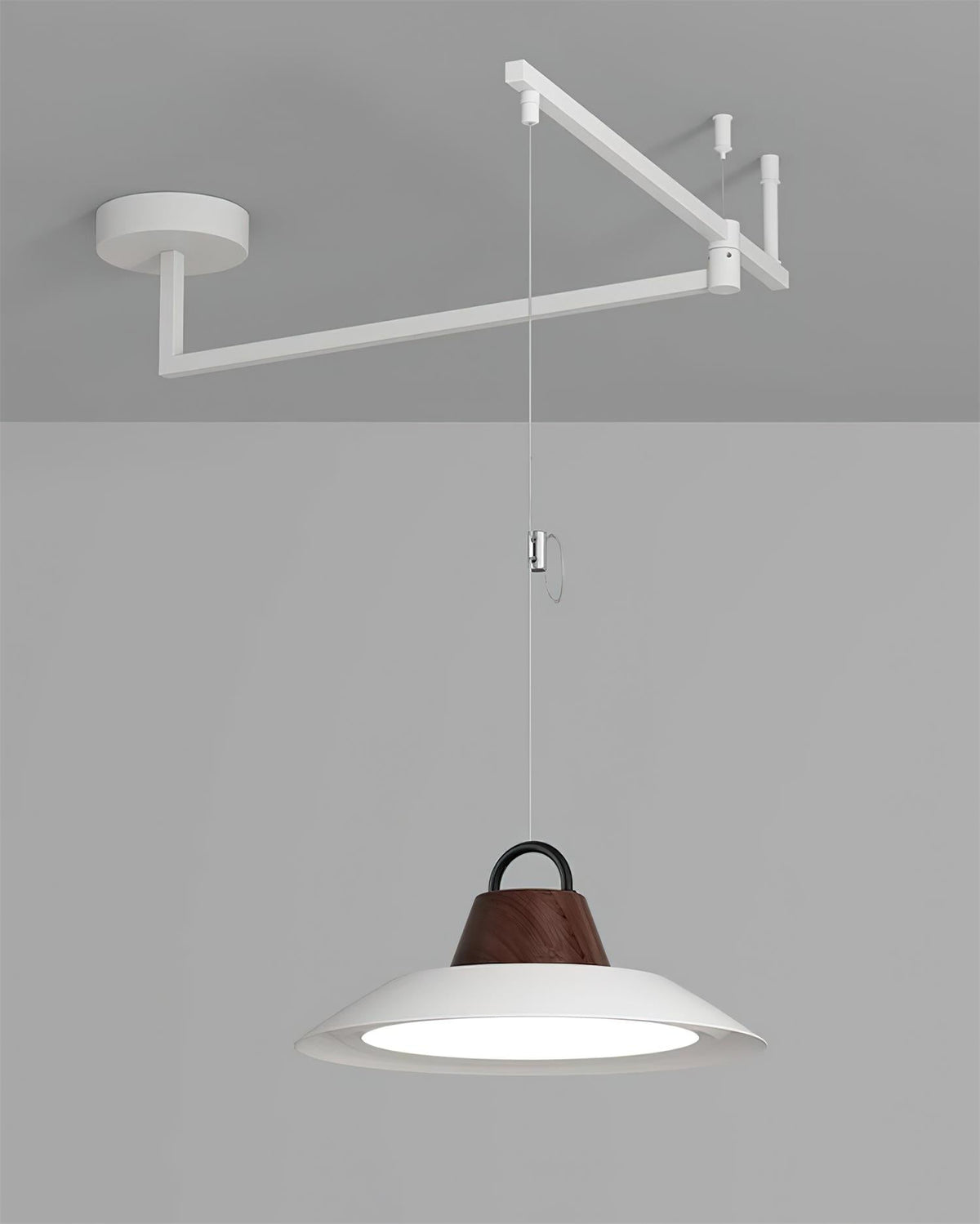 Elaisenne Swing Arm Pendant Lamp