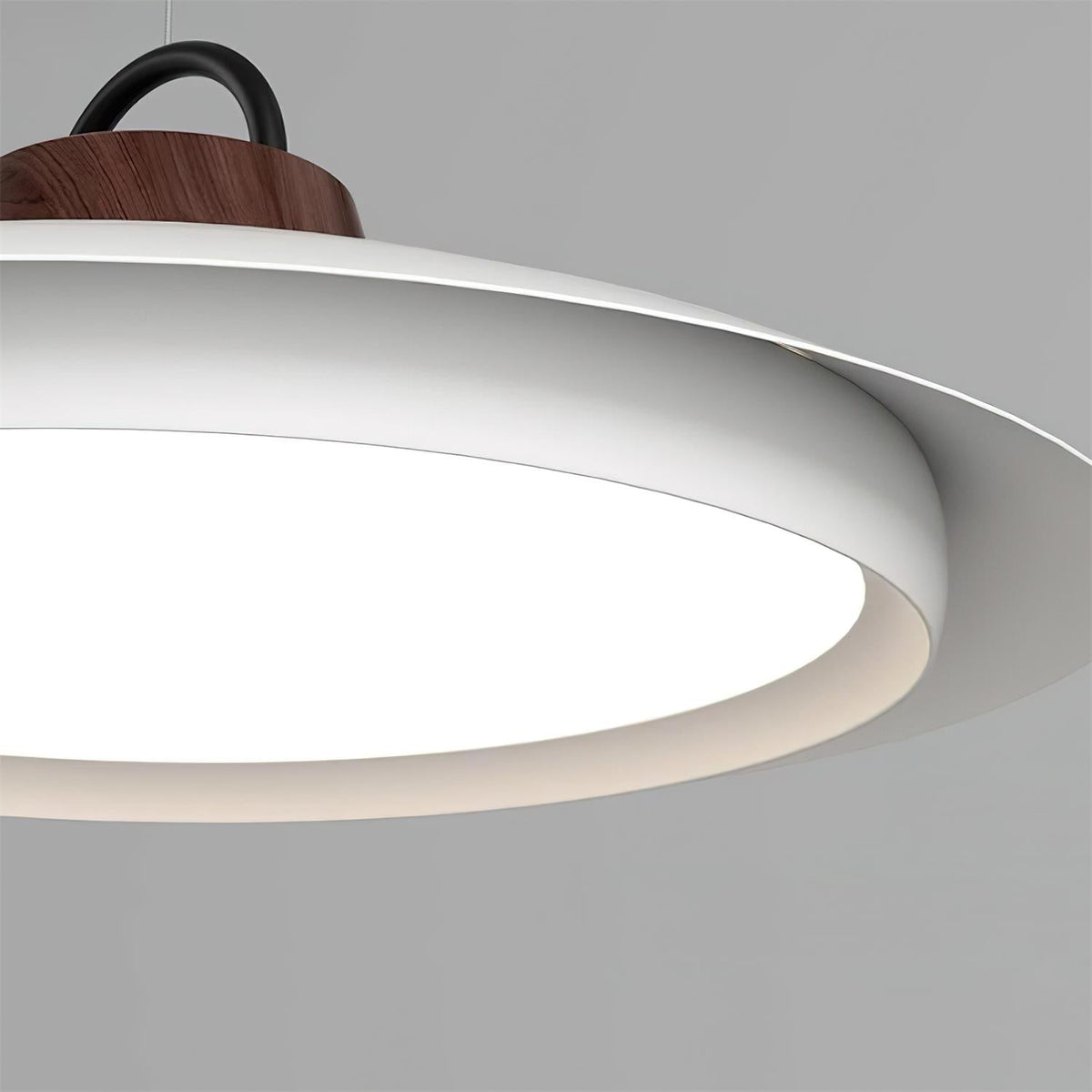 Elaisenne Swing Arm Pendant Lamp