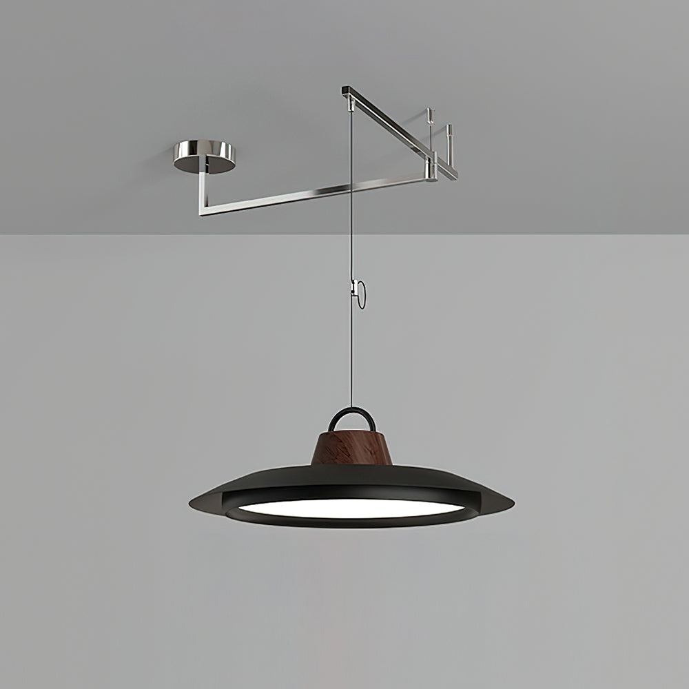 Elaisenne Swing Arm Pendant Lamp