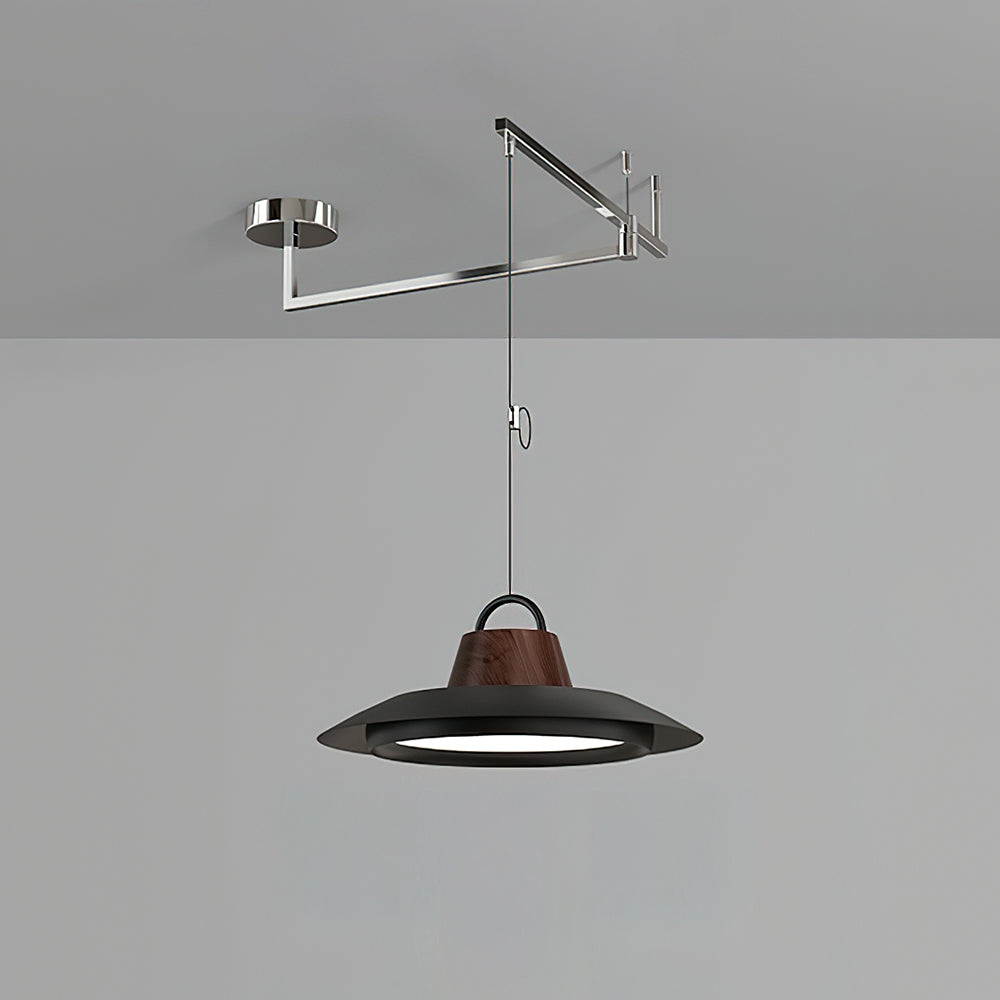 Elaisenne Swing Arm Pendant Lamp