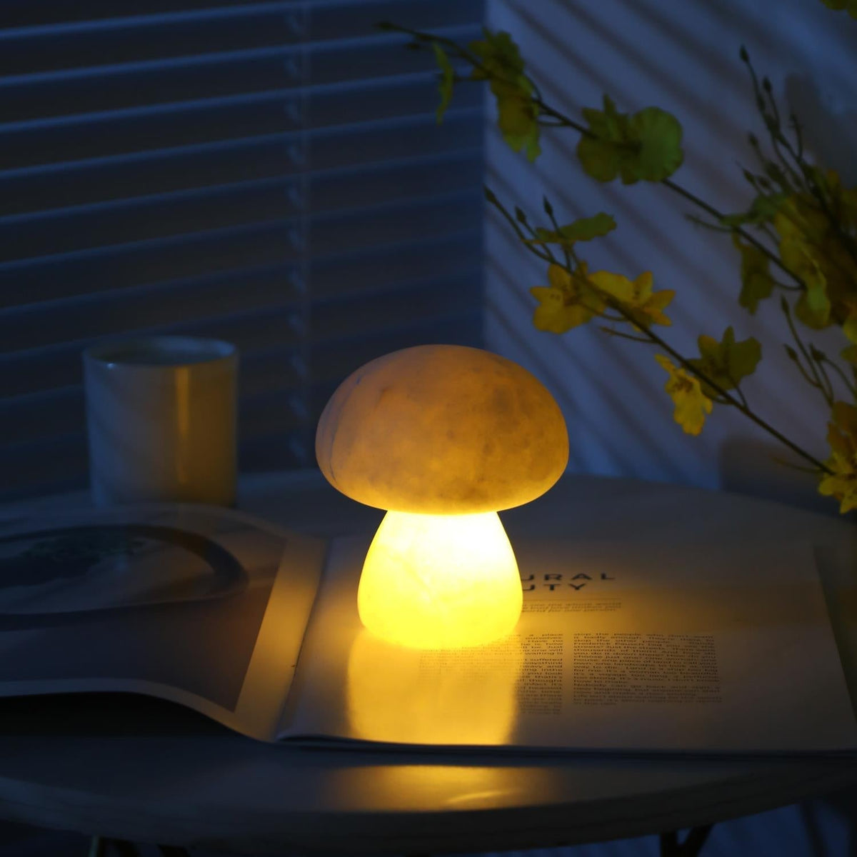 Fungi Table Lamp (built-in battery)
