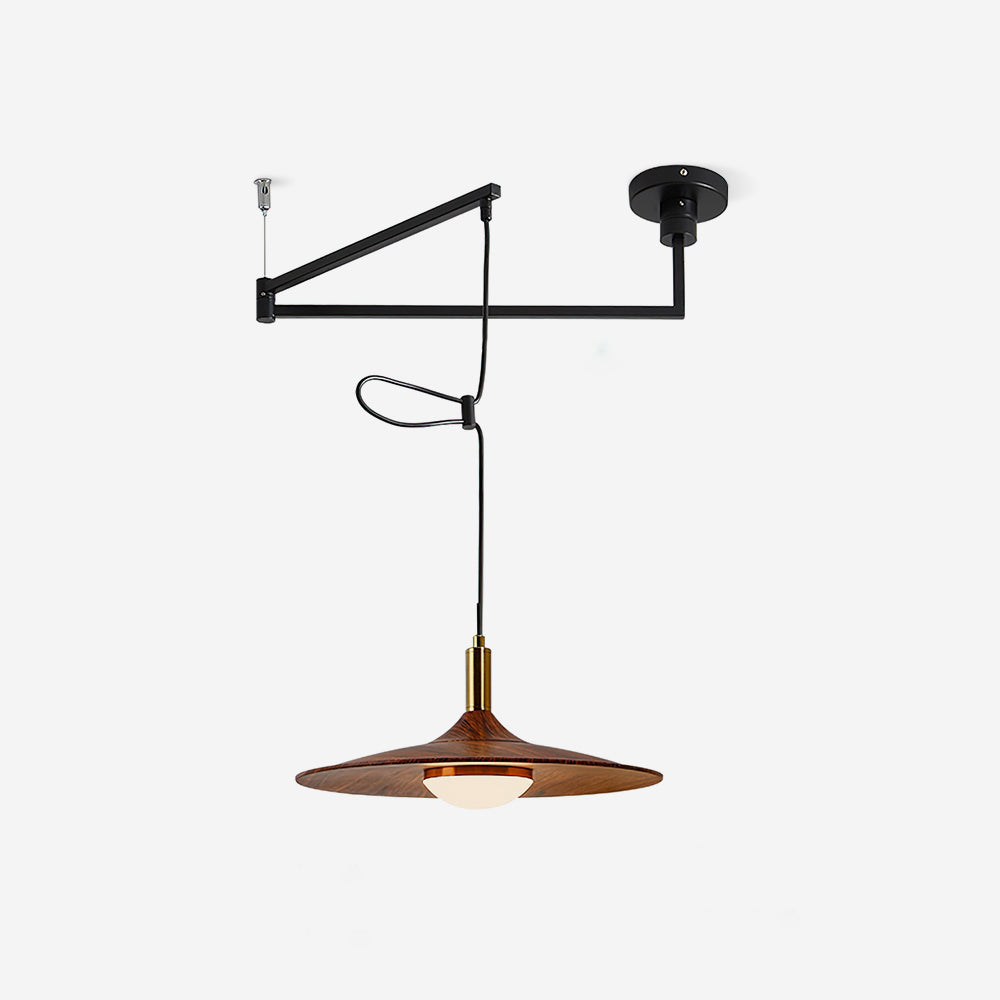 Soraena Pendant Light