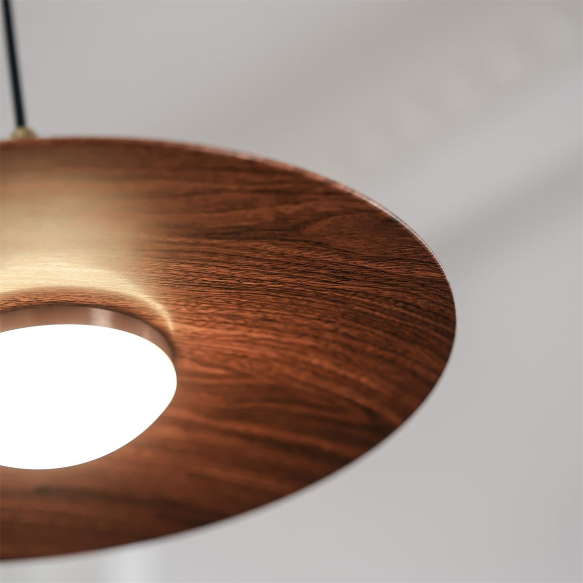 Soraena Pendant Light