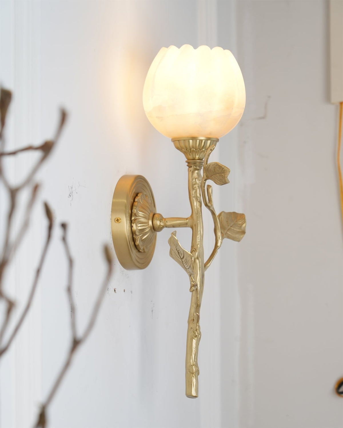 Rivinaria Wall Sconce