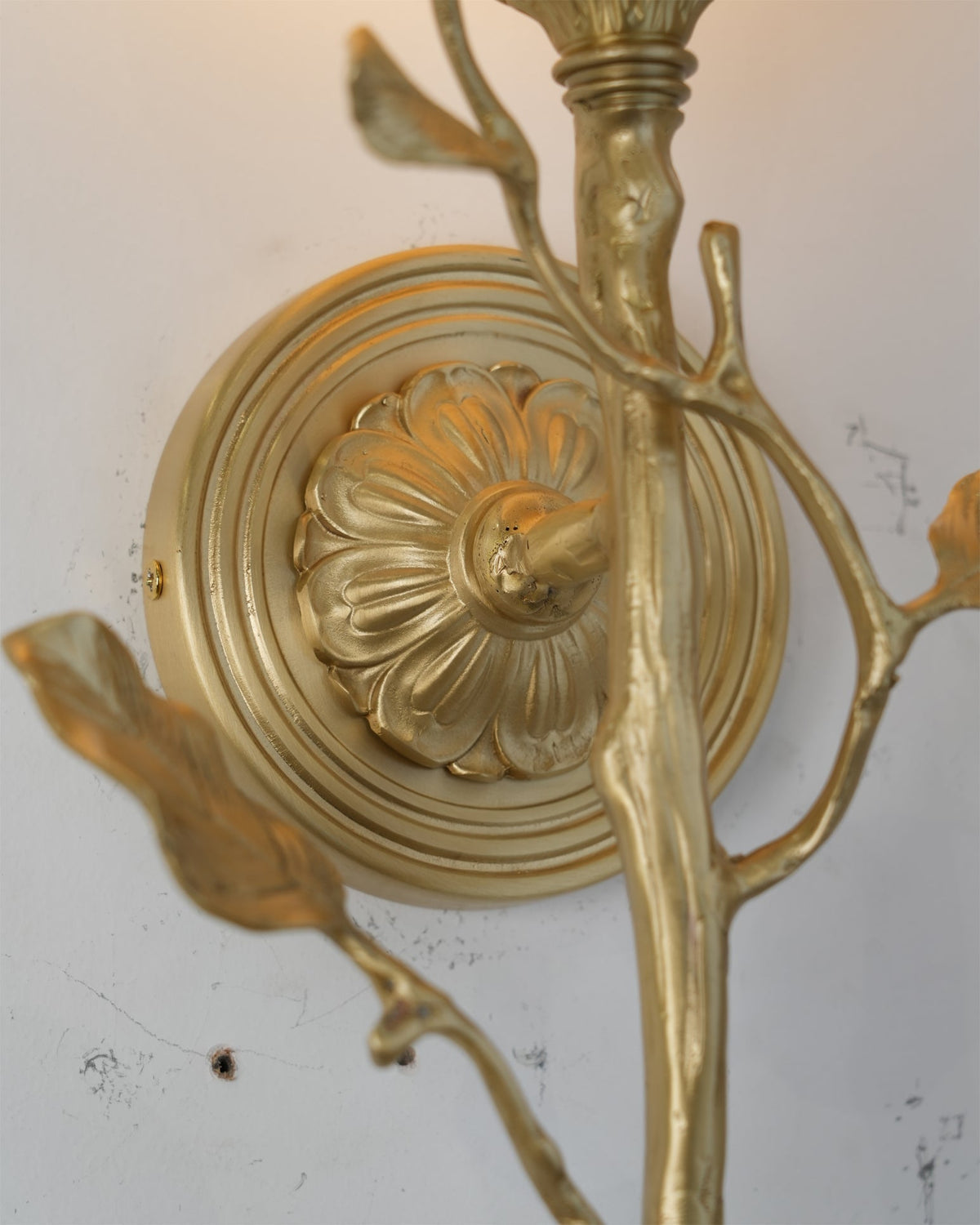 Rivinaria Wall Sconce