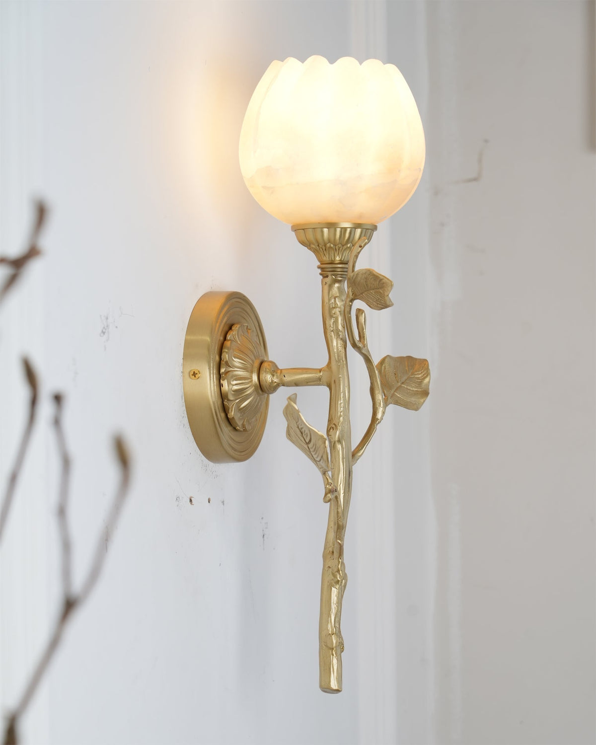 Rivinaria Wall Sconce