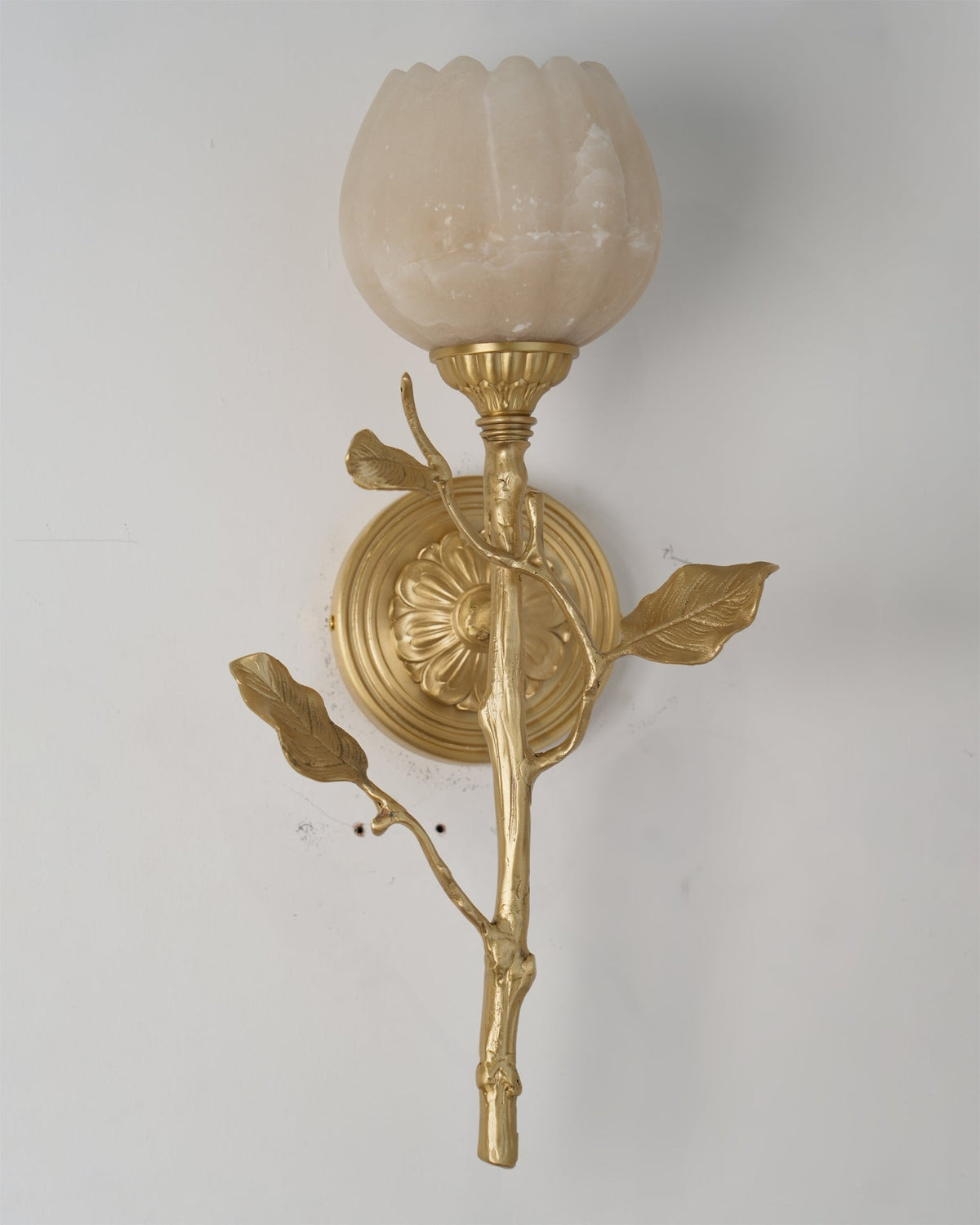 Rivinaria Wall Sconce