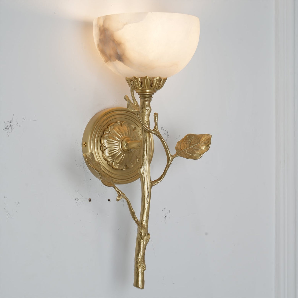 Rivinaria Wall Sconce