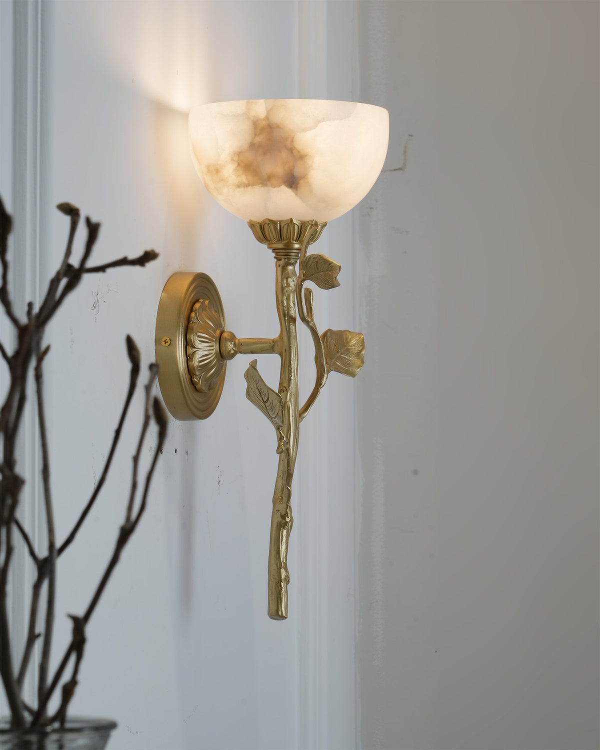 Rivinaria Wall Sconce