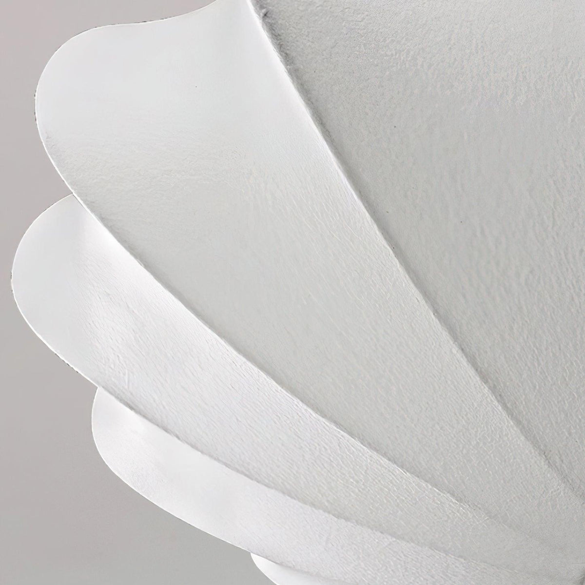 Cakomad Ceiling Light Seashell Simplicity