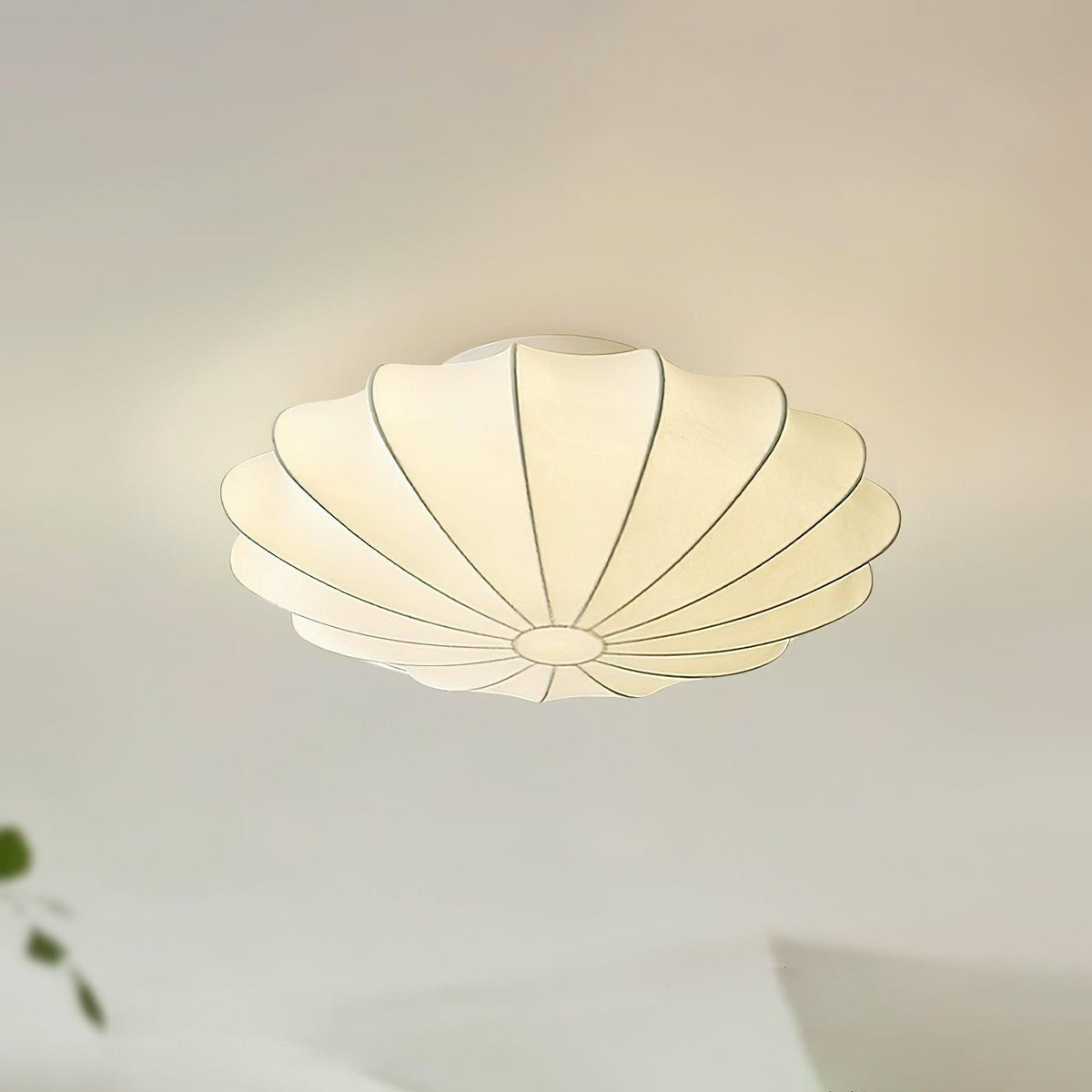 Cakomad Ceiling Light Seashell Simplicity