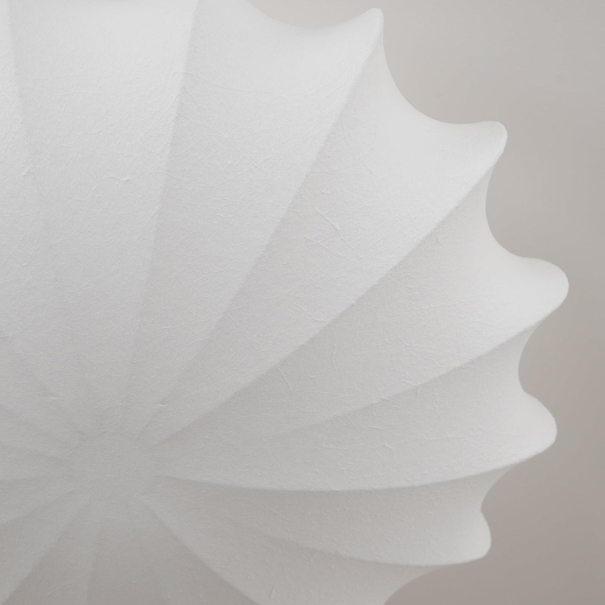 Cakomad Ceiling Light Seashell Simplicity