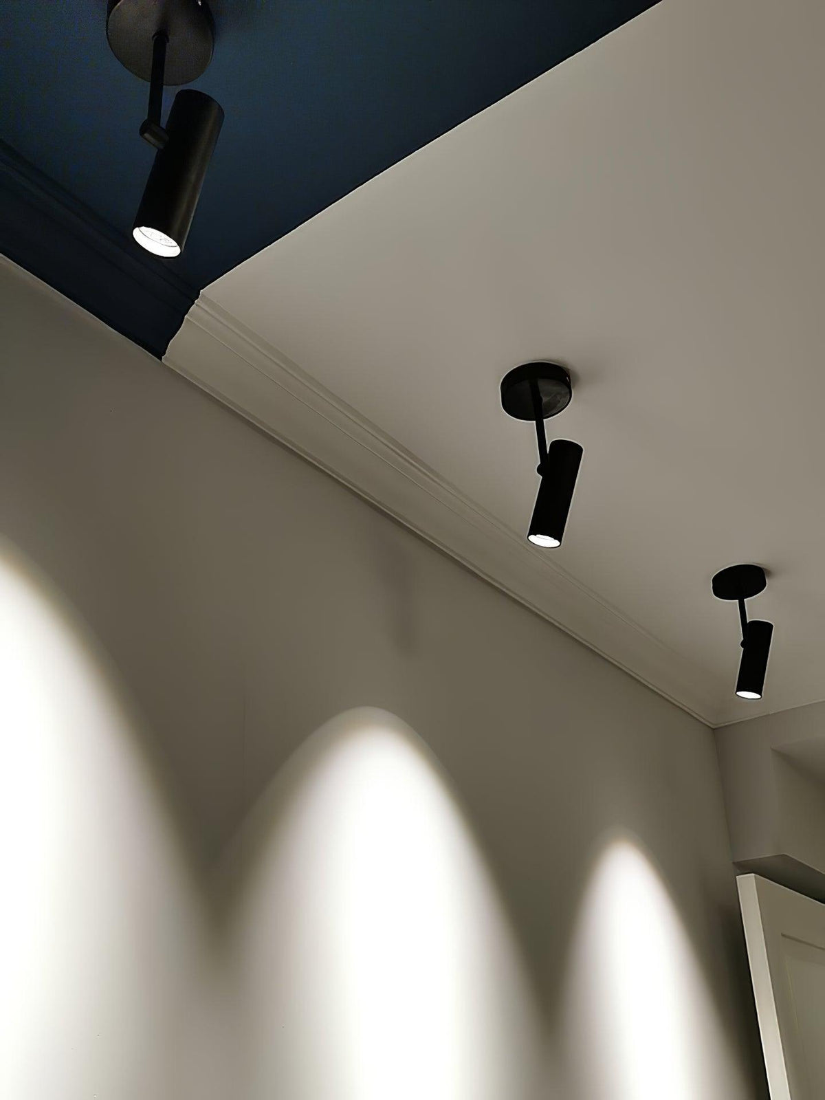 Divi Ceiling Light Cylinder Spotlight Industrial for Loft Study
