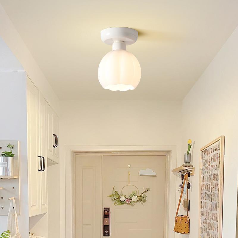 Tegirora Cute Flush Mount Ceiling Light Metal/Glass Bedroom/Study