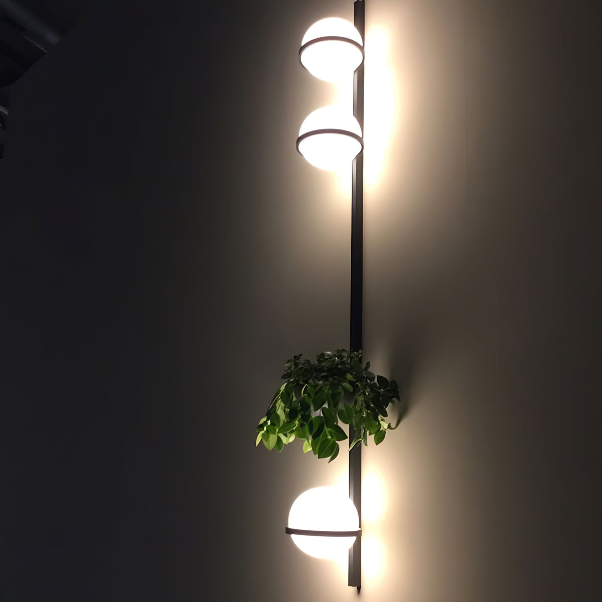 Suren Indoor  Outdoor Wall Light