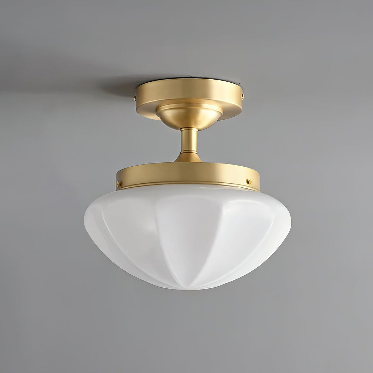 Lumoel Ceiling Light