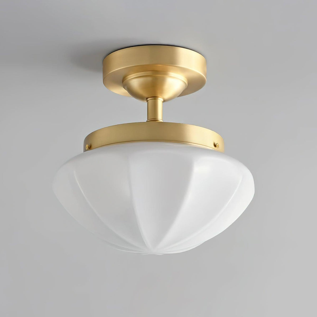 Lumoel Ceiling Light