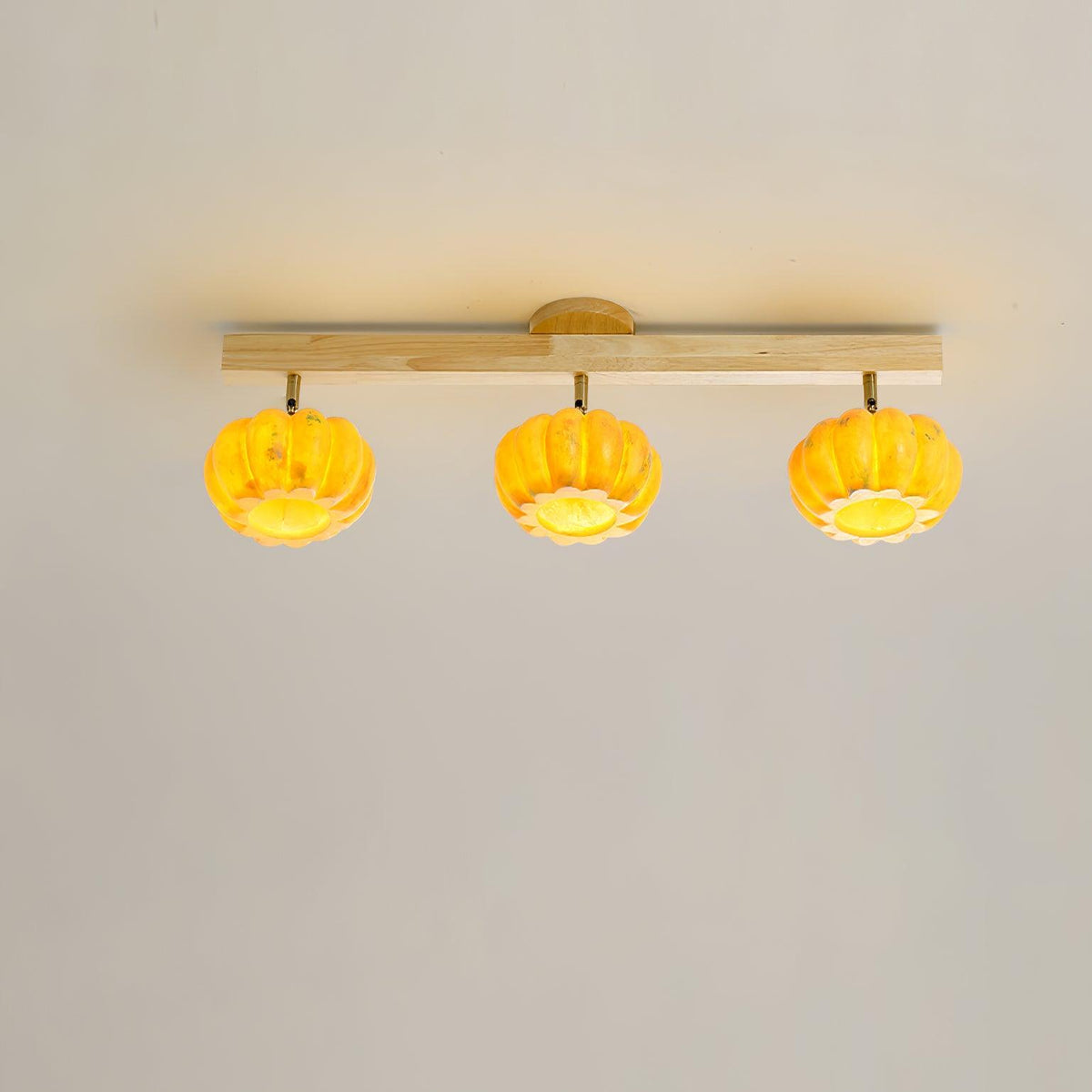 Harvest Ceiling Light