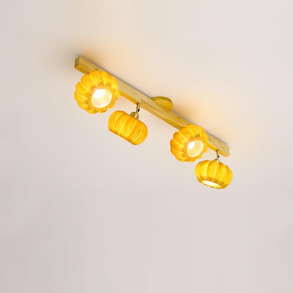 Harvest Ceiling Light