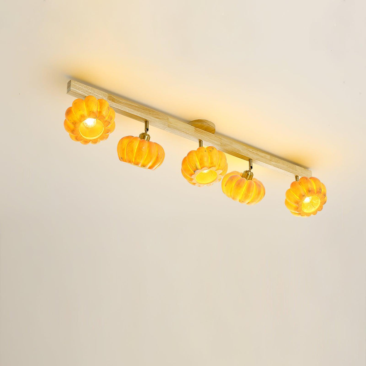 Harvest Ceiling Light