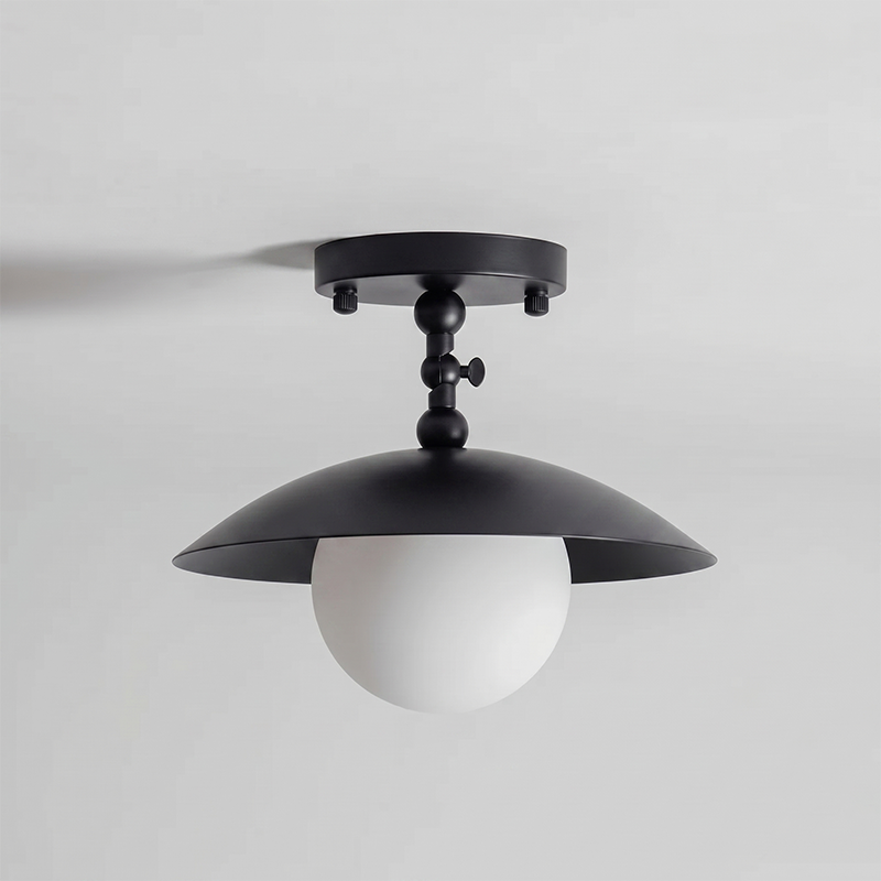 Terieneon Ceiling Light