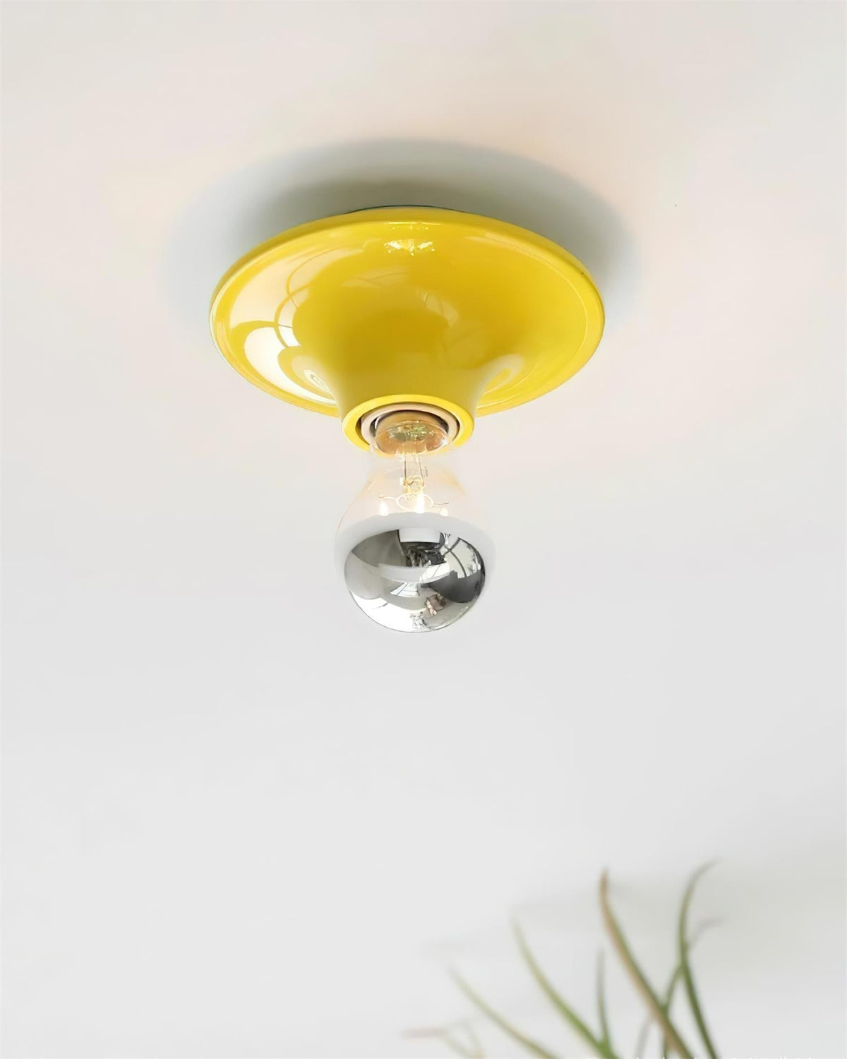 Lioreielle Wall Light