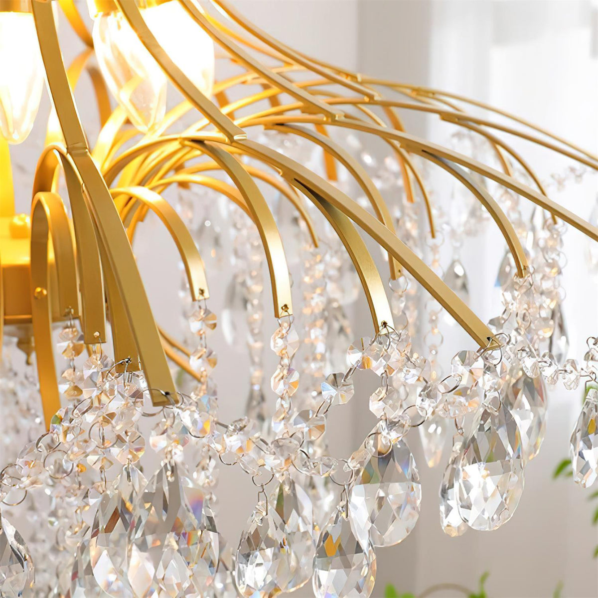 Oreluaine Chandelier