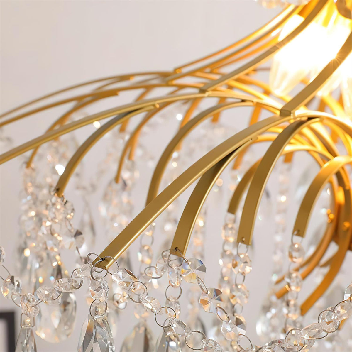 Oreluaine Chandelier