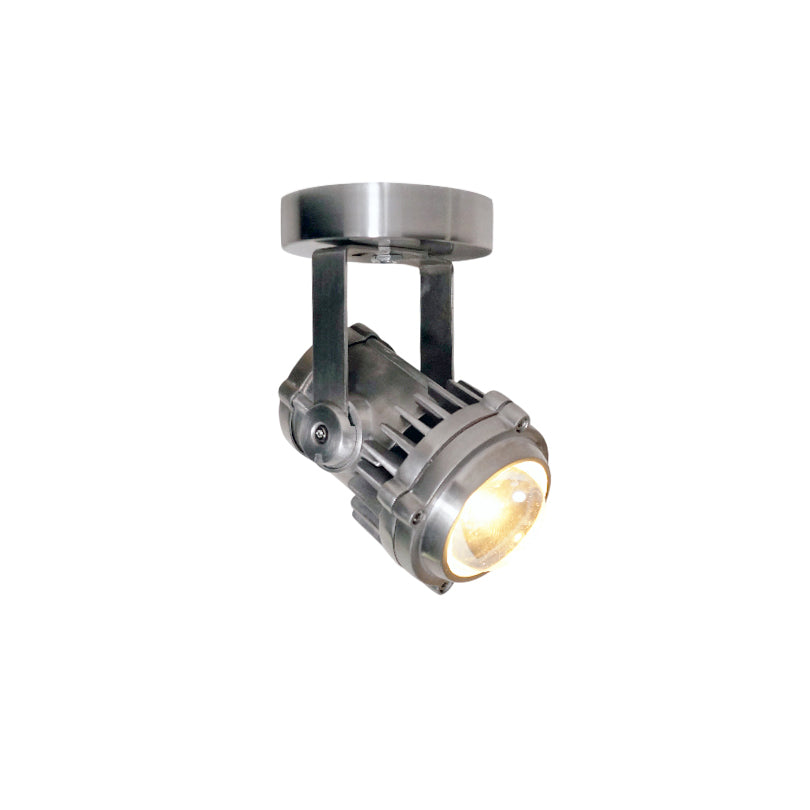 Liorivette Retro Industrial Glass Spotlight