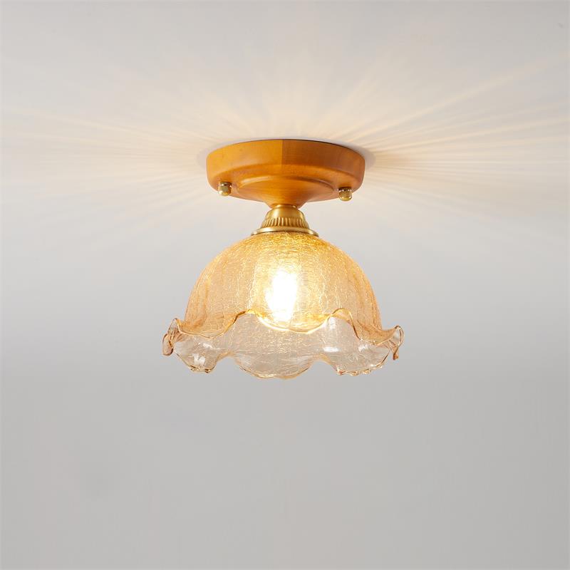 Elano Ceiling Light