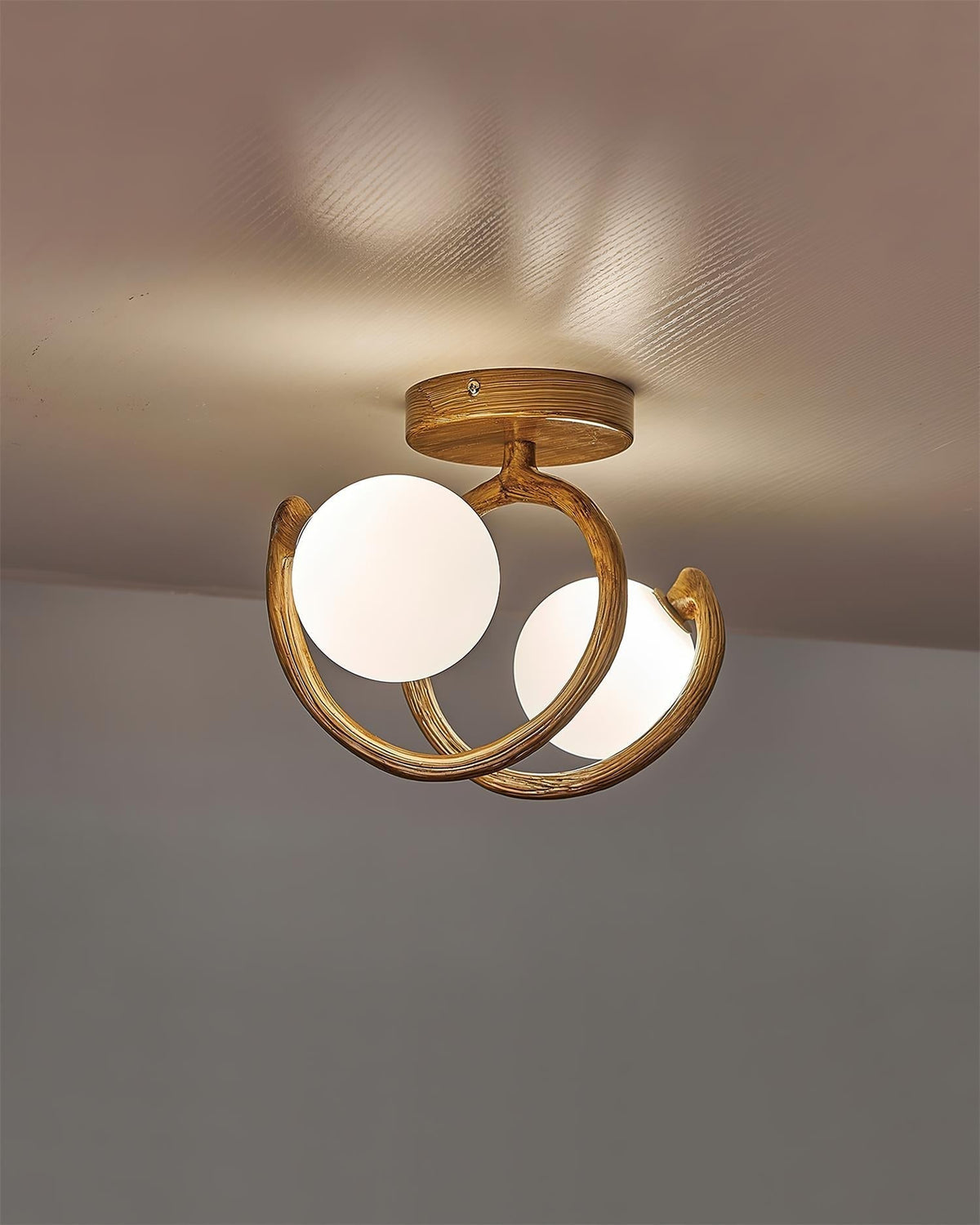 Soruel Ceiling Light