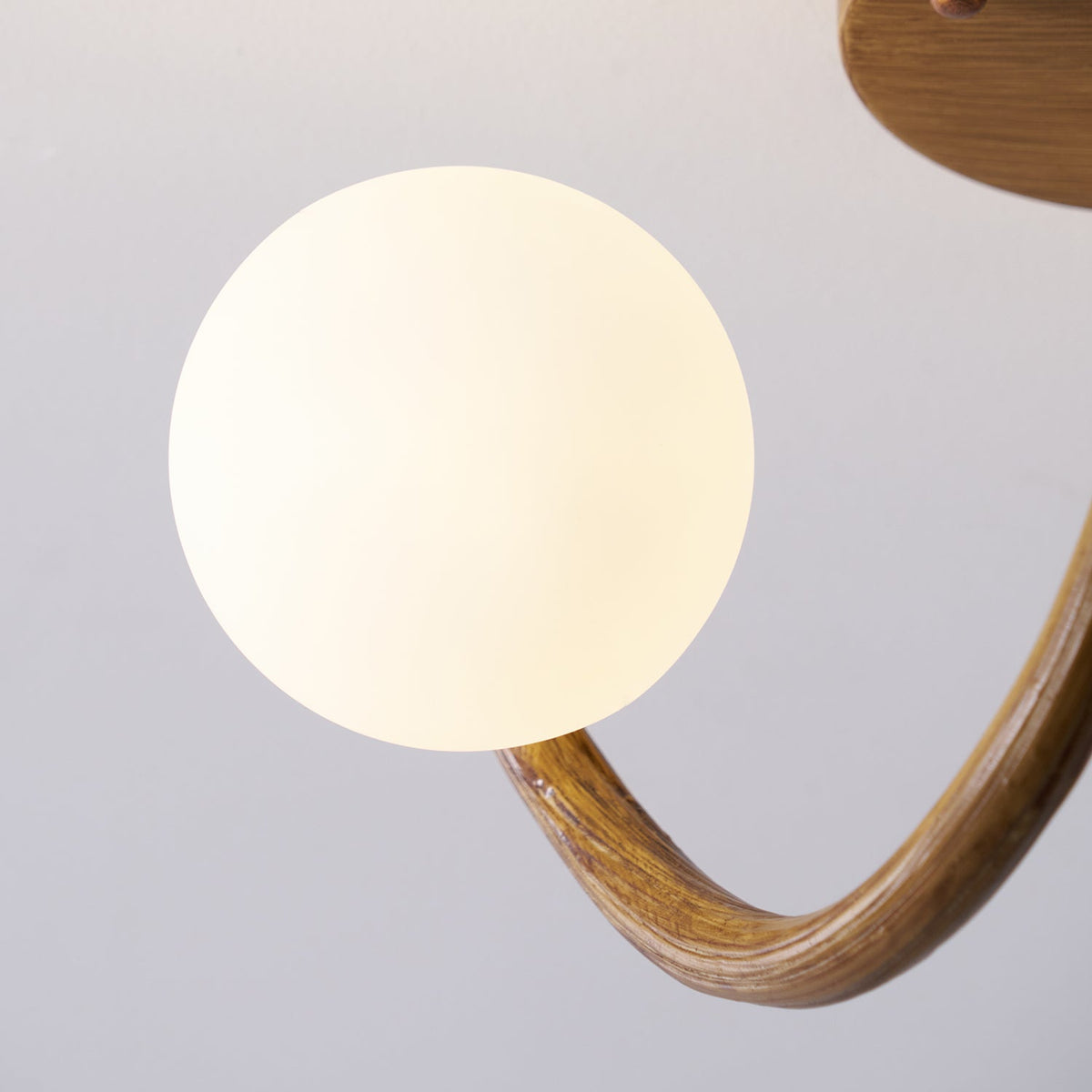Soruel Ceiling Light