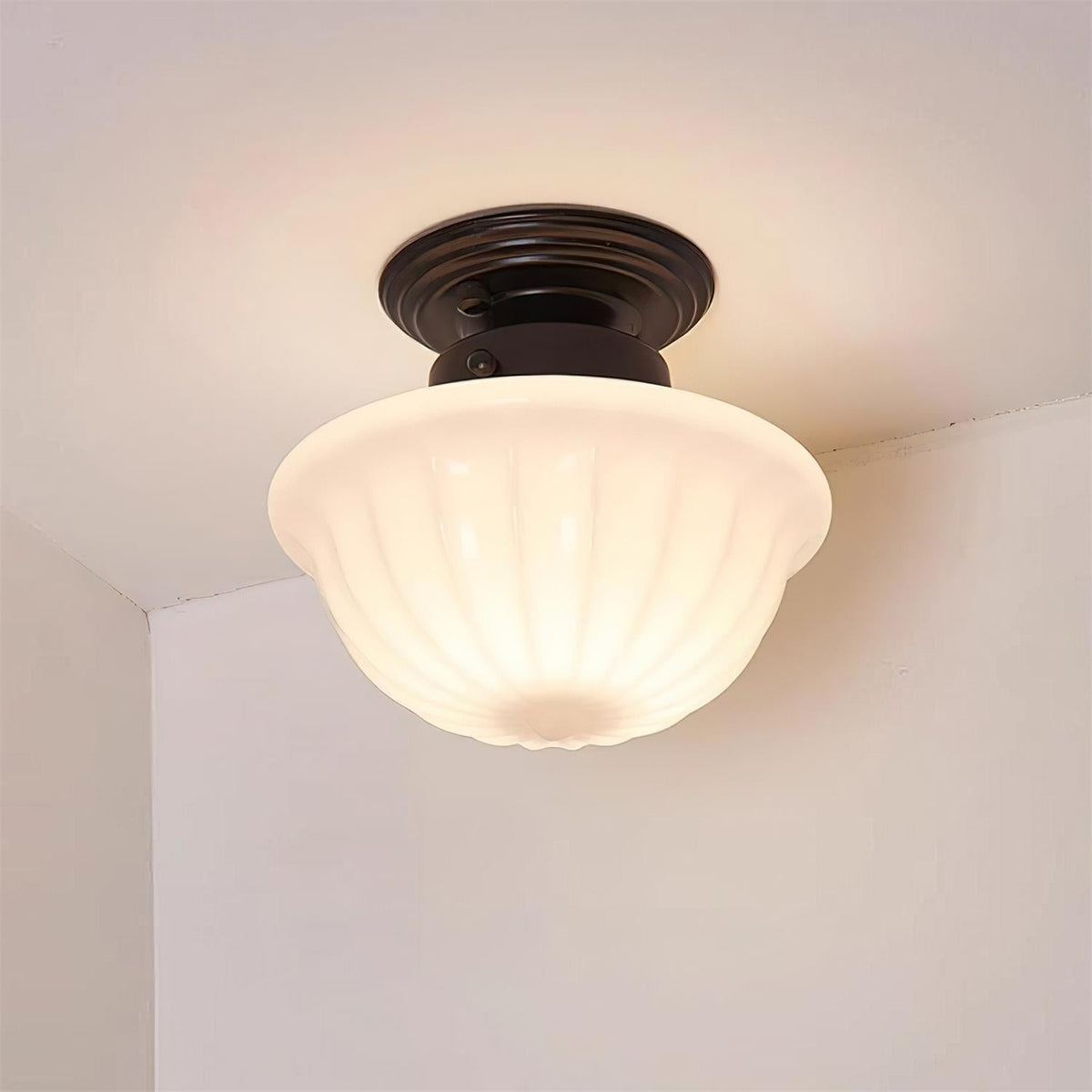 Evola Ceiling Light