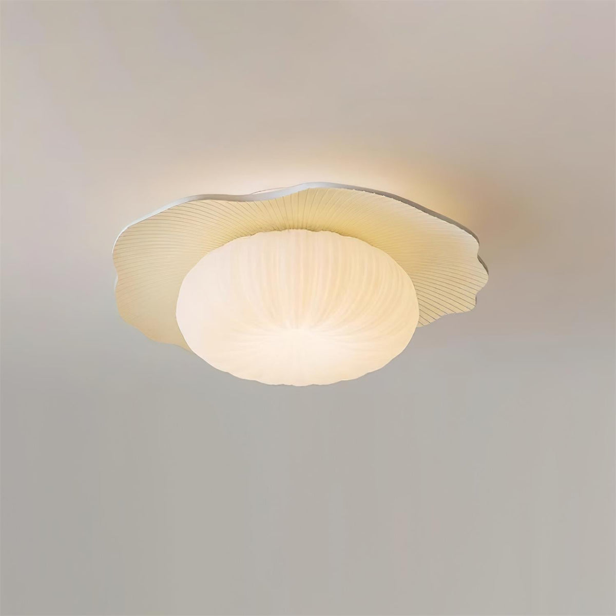 Velerise Ceiling Light