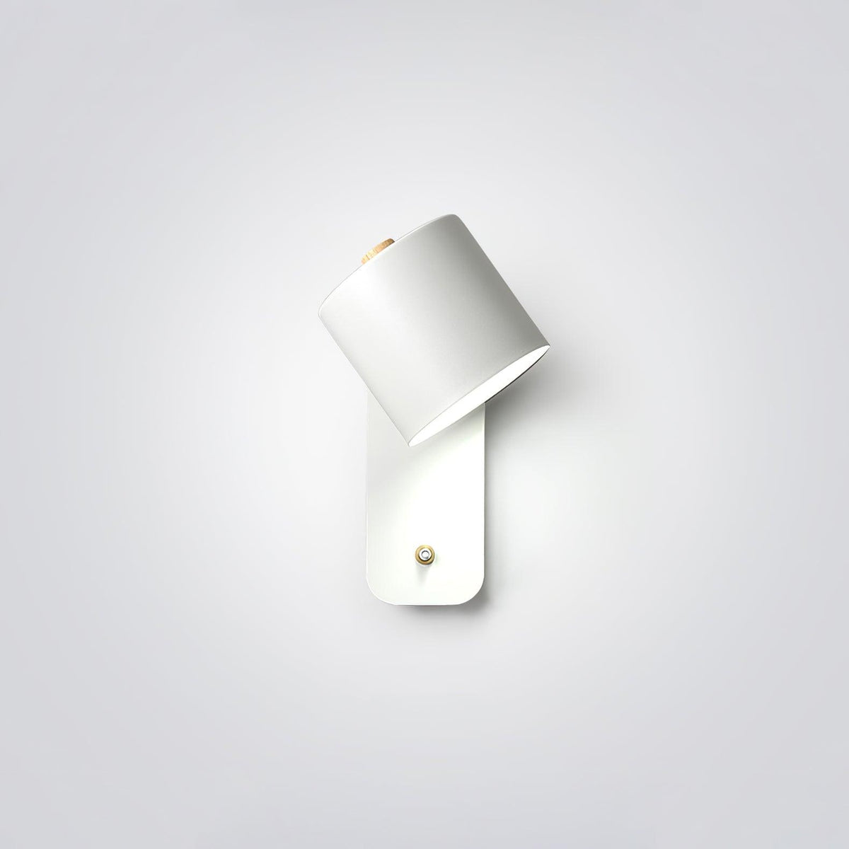 Lumiford Rotatable Cylinder Indoor Wall Light